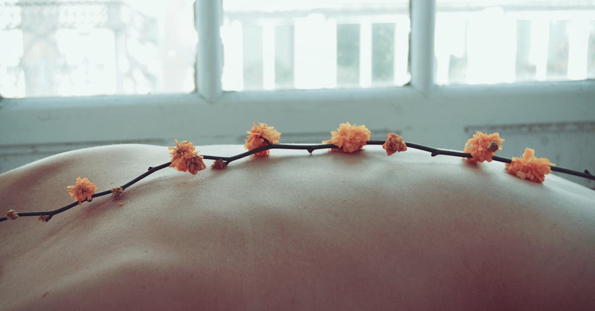 découvrez le bien-être sous toutes ses formes avec nos conseils, astuces et pratiques pour une vie équilibrée et harmonieuse. plongez dans l'univers du wellness et transformez votre quotidien en un espace de sérénité.