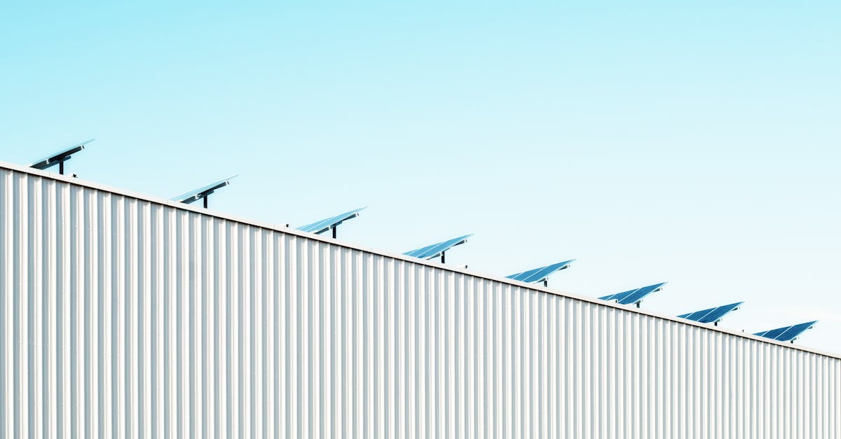 découvrez comment adopter des pratiques durables pour protéger l'environnement, favoriser l'économie circulaire et améliorer votre impact au quotidien grâce à la sustainability.