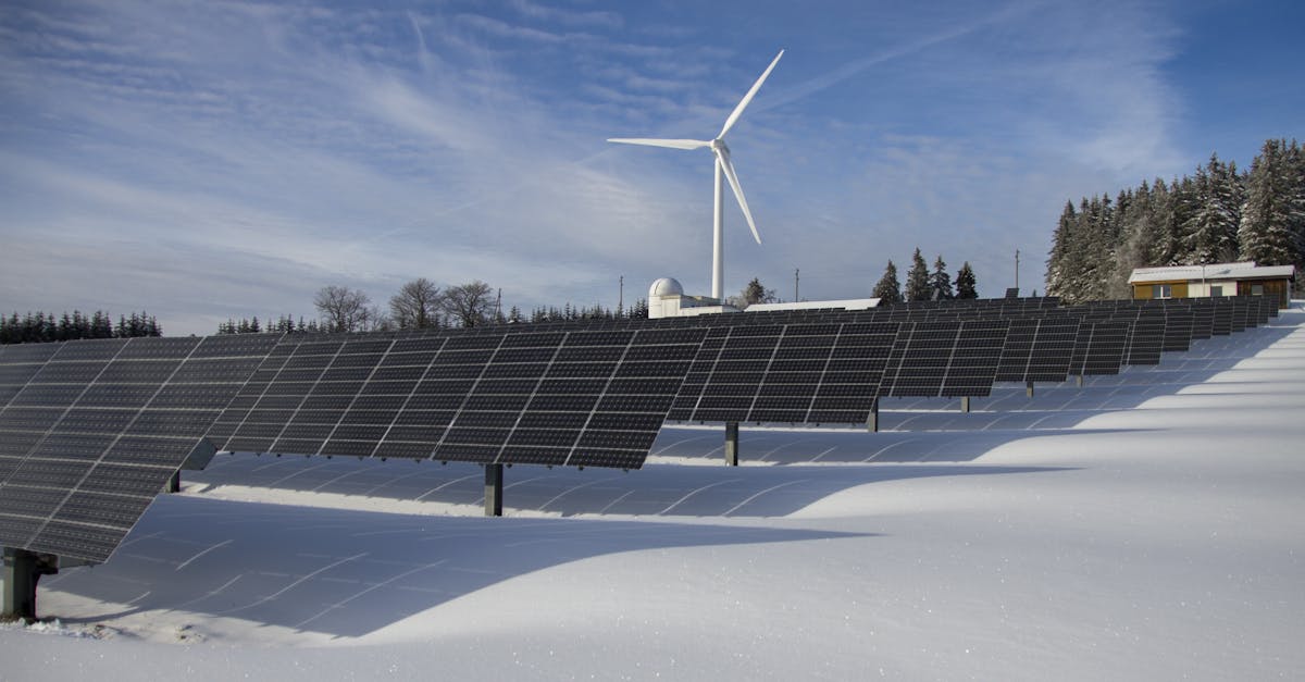 découvrez comment adopter des pratiques durables pour préserver l’environnement, réduire votre impact écologique et contribuer à un avenir plus responsable grâce à des conseils sur la sustainability.