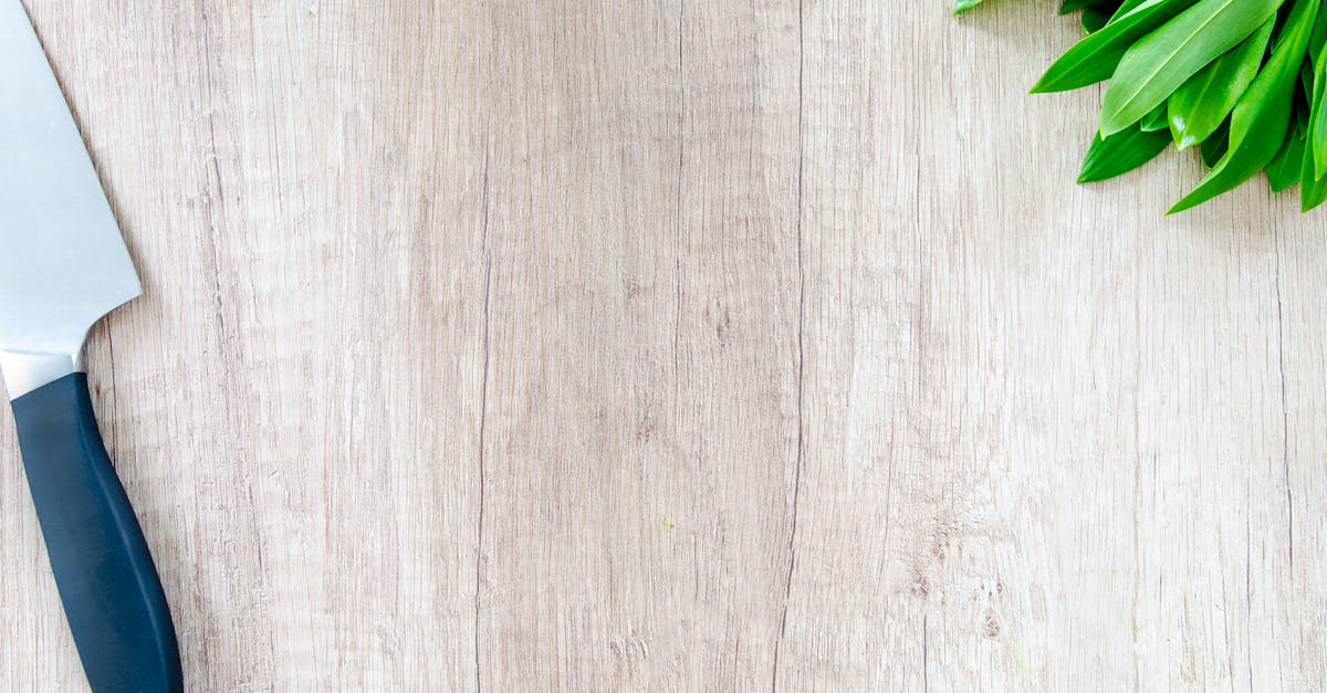 découvrez une multitude de recettes, astuces et conseils pour maîtriser l'art de la cuisine et régaler vos proches chaque jour.